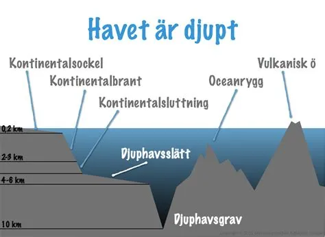  Scaleworm: En Skaldjurets Resa Till Djupt Havets Undervärld!